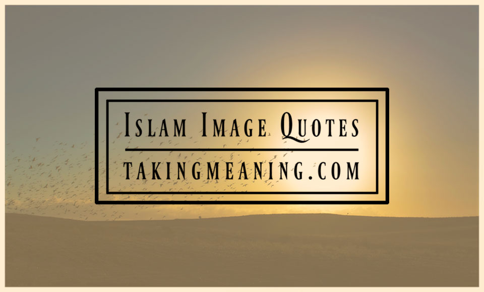 Taking Meaning - Living Islam