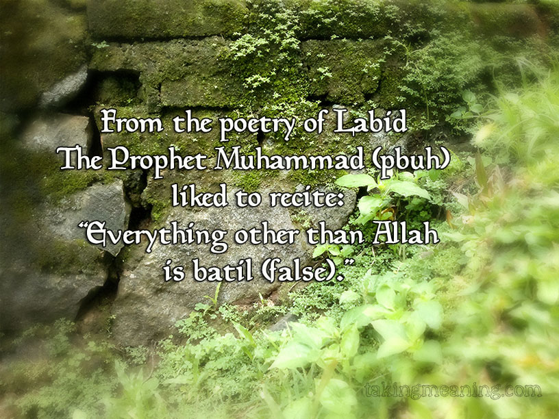 nature-green-plants-stone-Islam-image-quotes